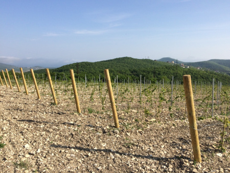 Столбы деревянные оцилиндрованные