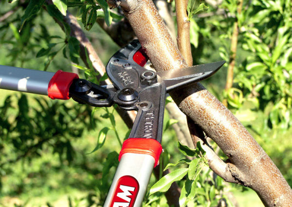 Сучкорез LISAM TYTRON